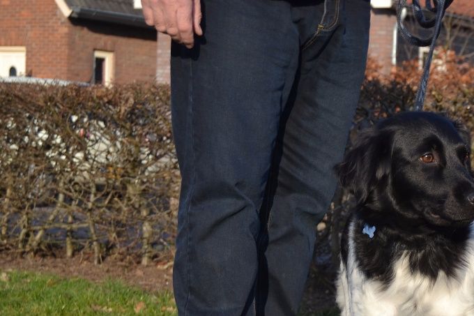 Cindy og Fenja 2015 i Holland